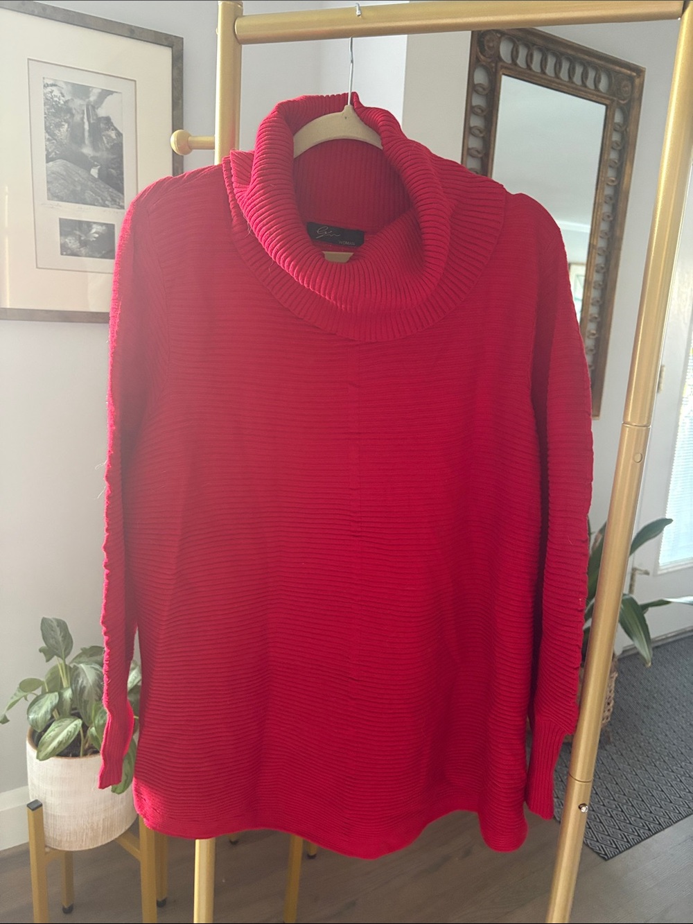 Cozy Ribbed Cowl Neck Sweater in Red